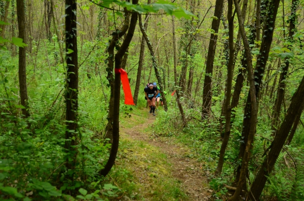 Monteregio trail