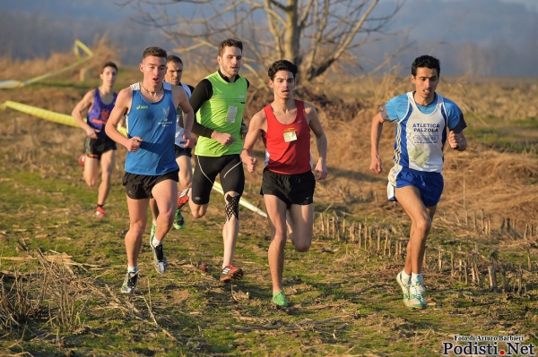 bedisco di oleggio 2015