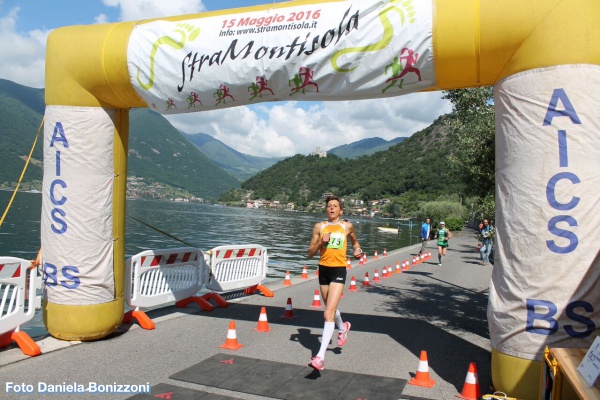 stramontisola2016