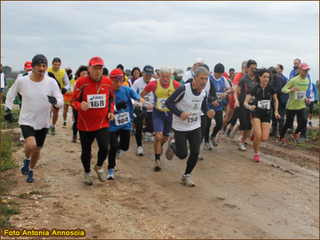 Trani Cross di Trani  -2014