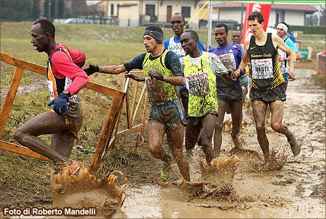 San Vittore Olona 5 Mulini 2015 foto Roberto Mandelli