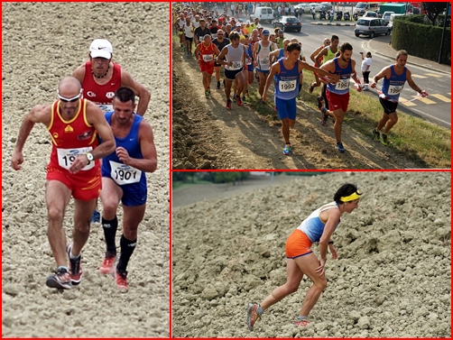 salvarano 2015 morselli
