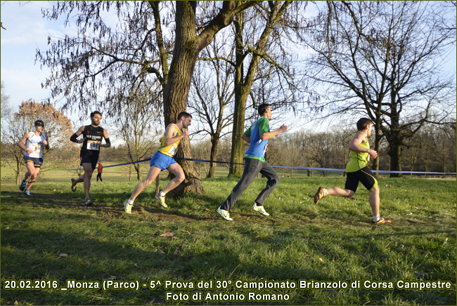 Monza Campionato Brianzolo 2016