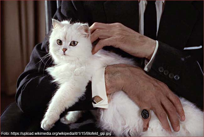 Gatto RM Blofeld gip
