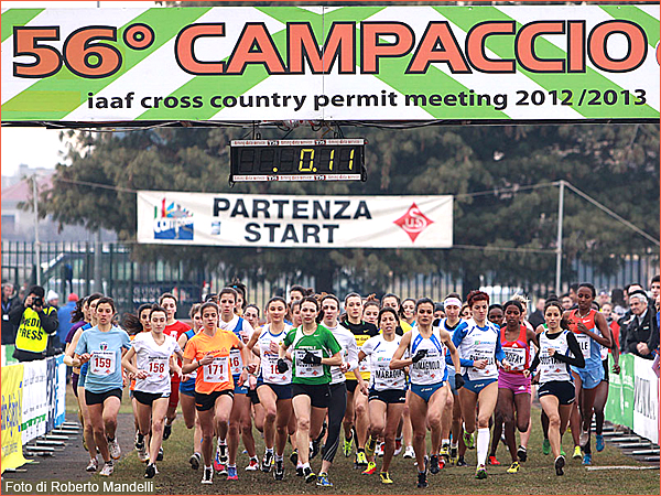 S.Giorgio su Legnano Campaccio 2013 partenza F foto Roberto Mandelli