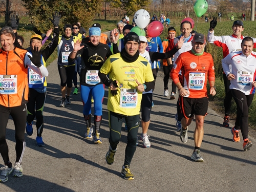 AA maratoan di reggio 2013 bcd