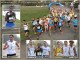 Milano - XV° Trofeo Montestella - Memorial Cristina Lena Milano Trofeo Montestella 2017 collage foto Roberto Mandelli