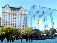 Italiani a New York: c'è anche la Straneo! New York 2011 Apple Store 767 Fifth Ave a foto Roberto Mandelli
