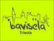 Bavisela 2017 verso lo stop? Bavisela logo a